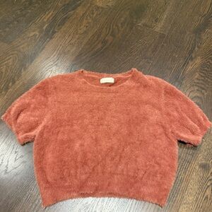 Altar'd State Fuzzy burnt orange cropped sweater